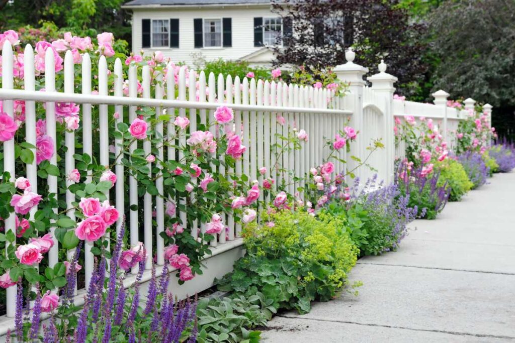 White PVC fencing surrounding a home with flowers and shrubs poking through