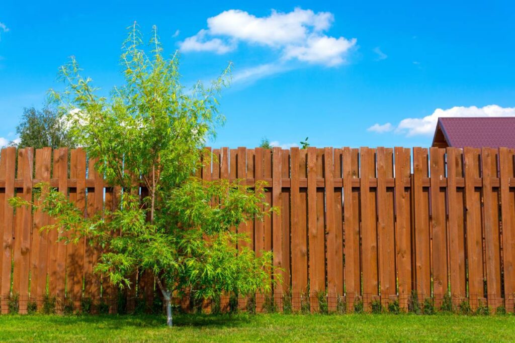 A wooden fence at standard fence height outside a home near Nicholasville, KY