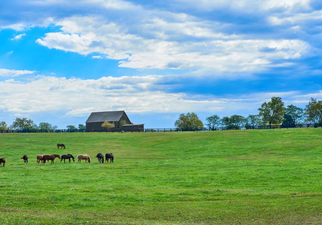 Residential Fencing, Commercial Fencing, Temporary Fencing, Composite Fencing by Myers Fencing, Inc., near Georgetown, Kentucky (KY)