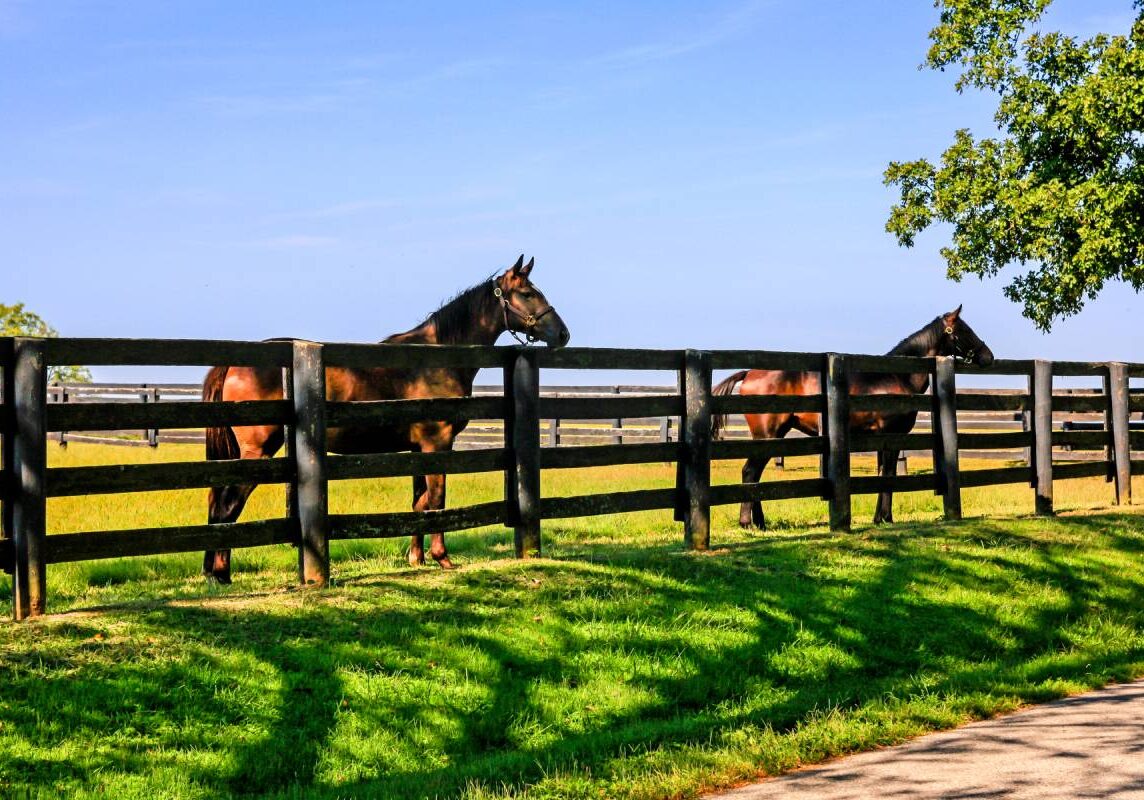 Commercial Fencing, Temporary Fencing, and Residential Fencing at Myers Fencing, Inc. near Versailles, Kentucky (KY)